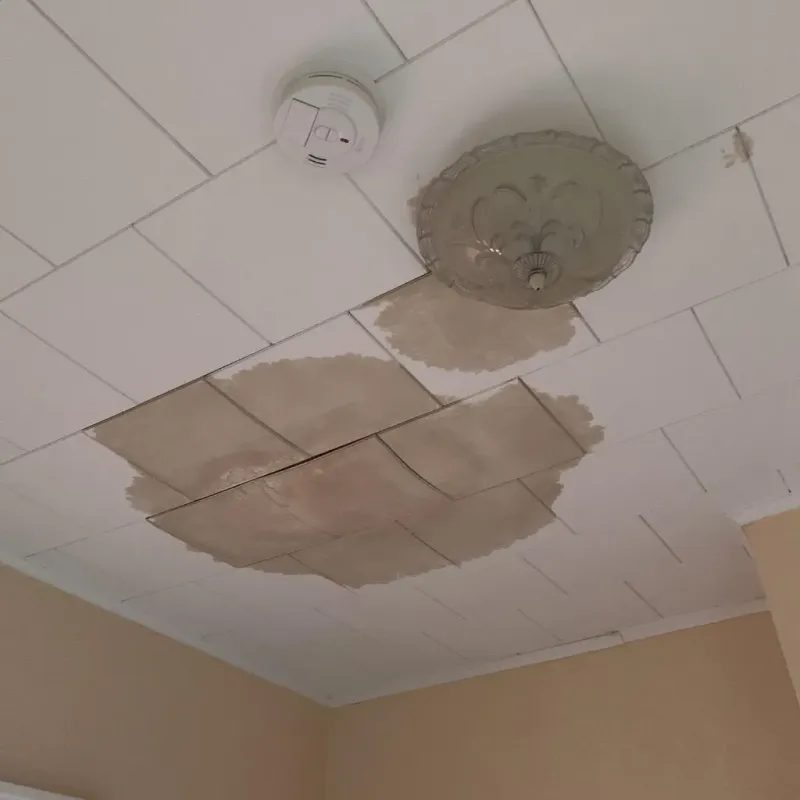 Ceiling Water Damage Repair in Belle Plaine, KS