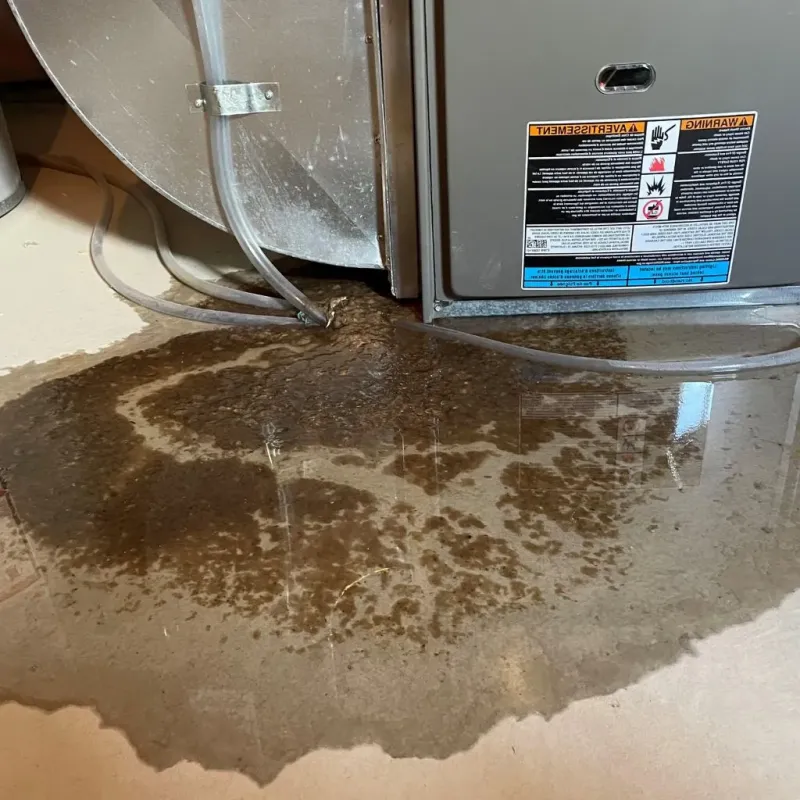 Pipe Burst and Leak Restoration in Belle Plaine, KS
