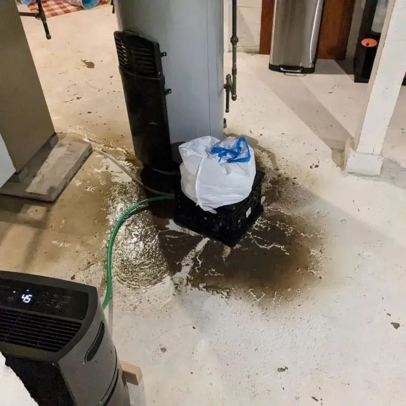 Sewage Backup Cleanup Service in Belle Plaine, KS